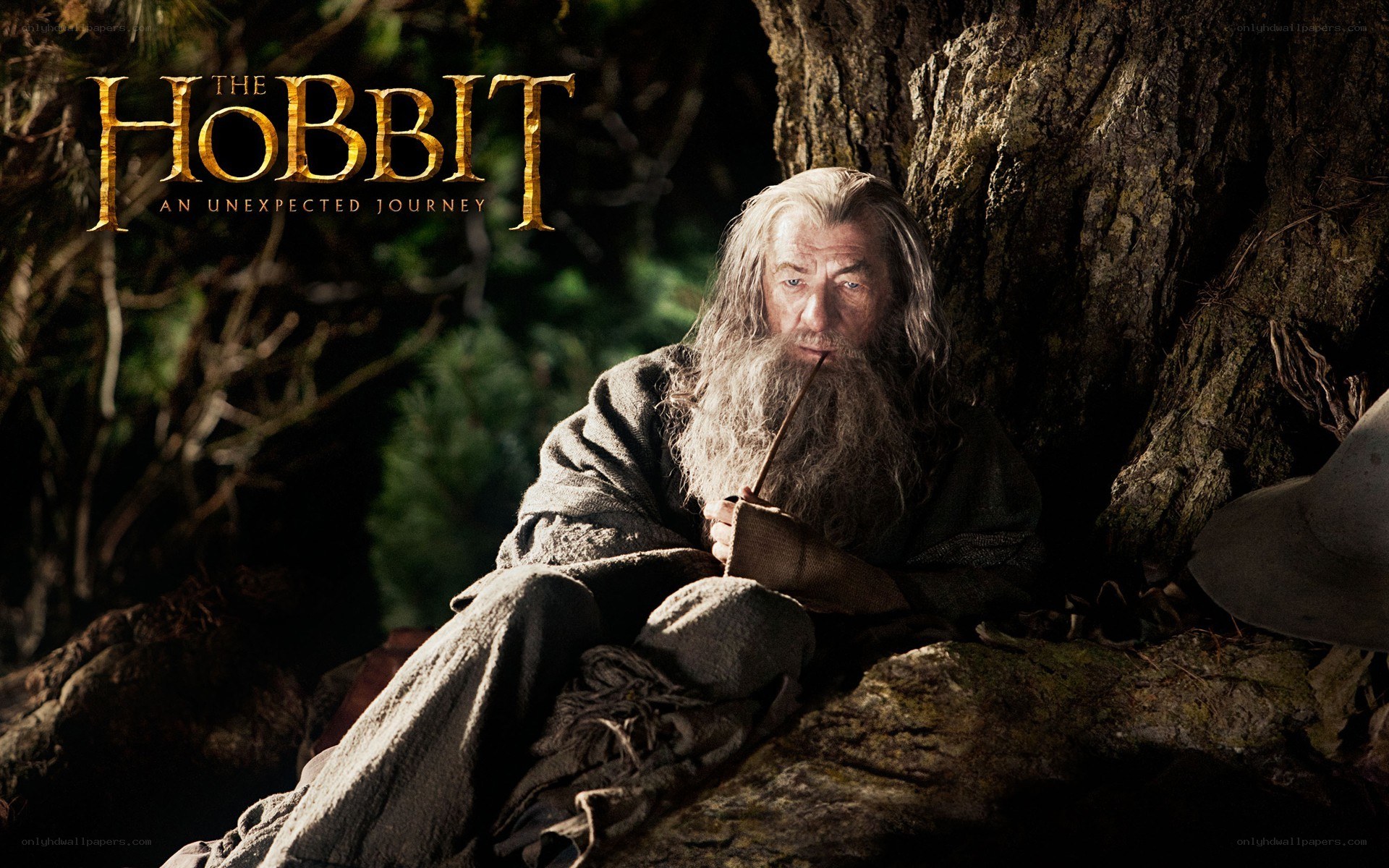 Gandalf in the forest