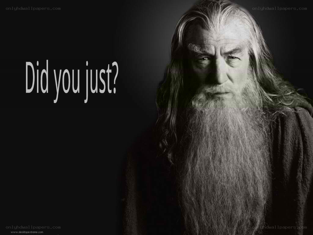 Gandalf meme with text