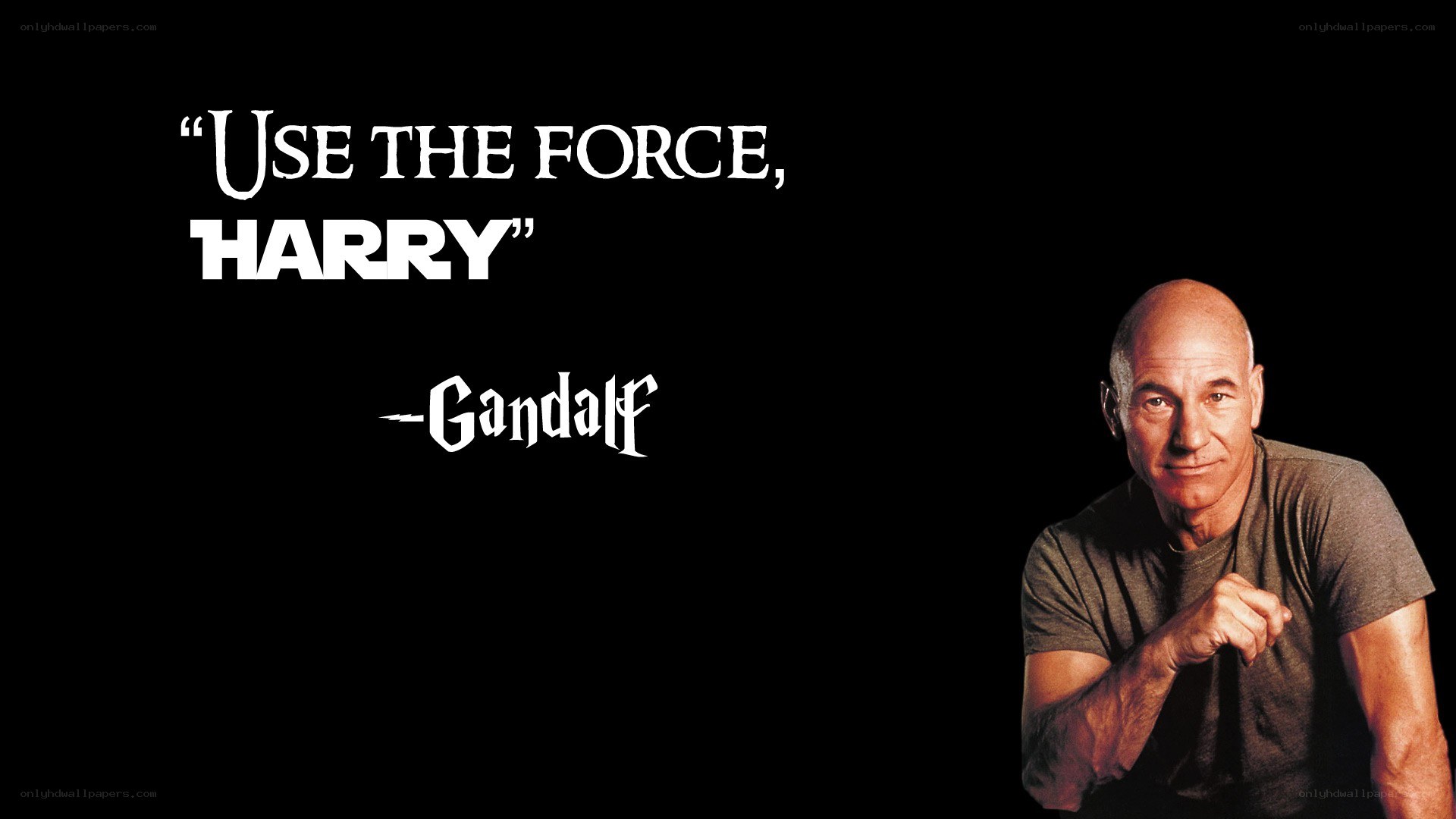 Gandalf quote with Patrick Stewart