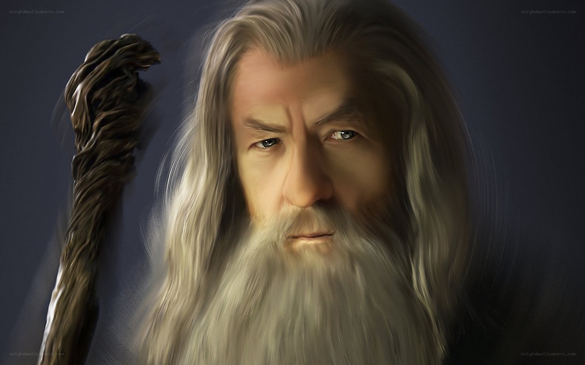 Gandalf the Grey portrait