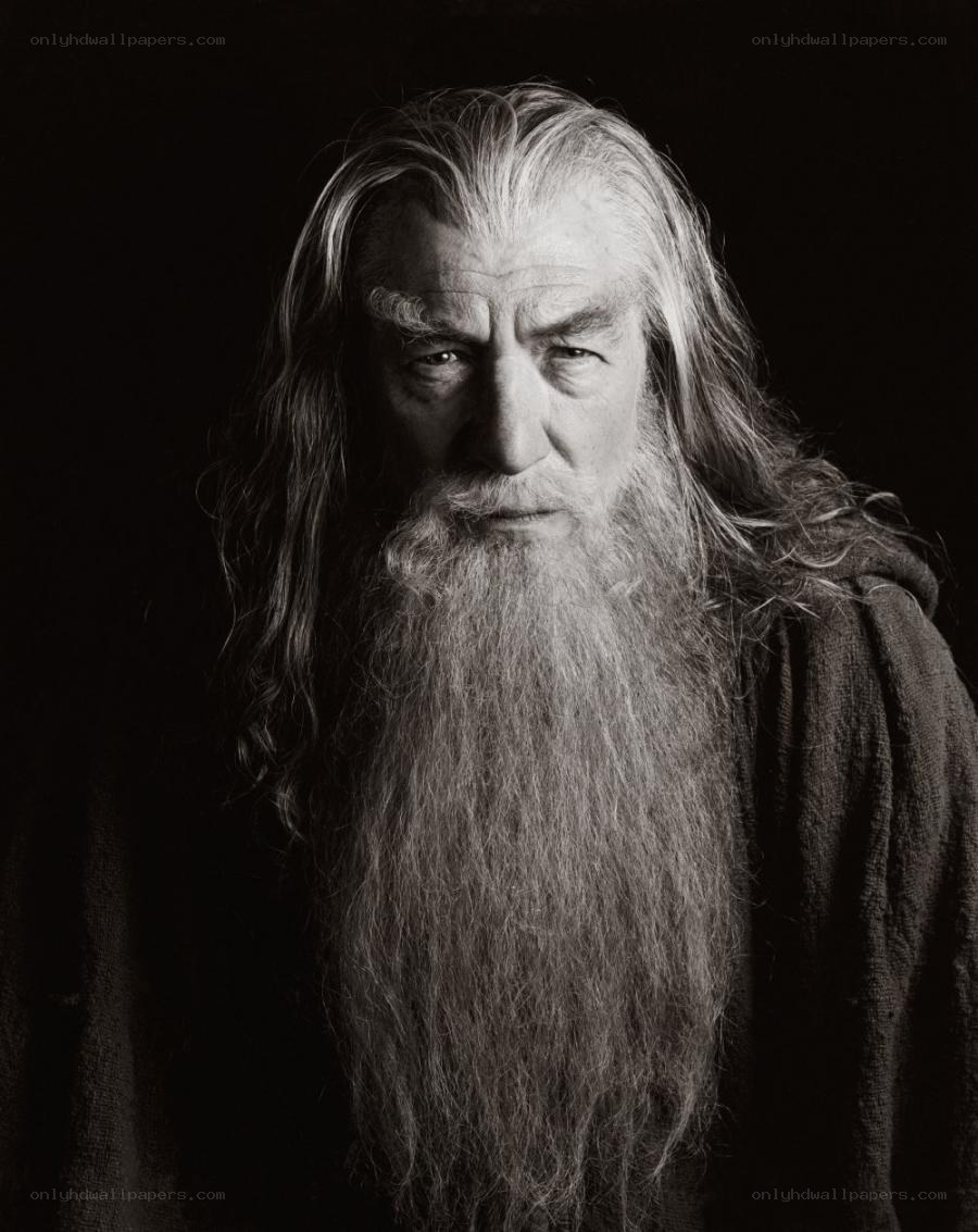 Gandalf the Grey portrait