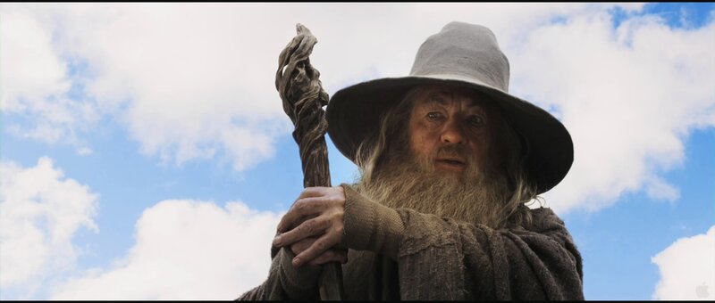 Gandalf with staff and hat