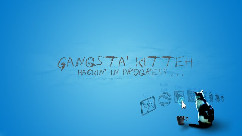 gangsta kitten hacking