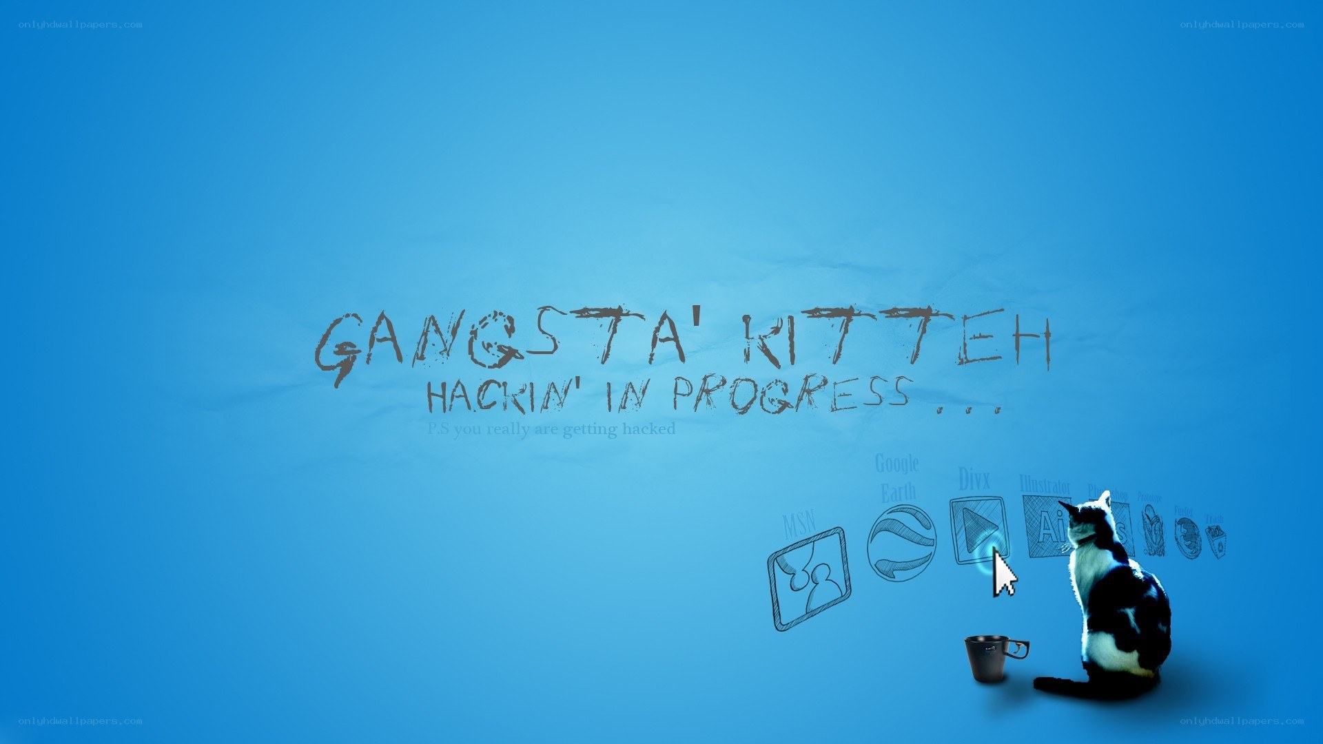 gangsta kitten hacking