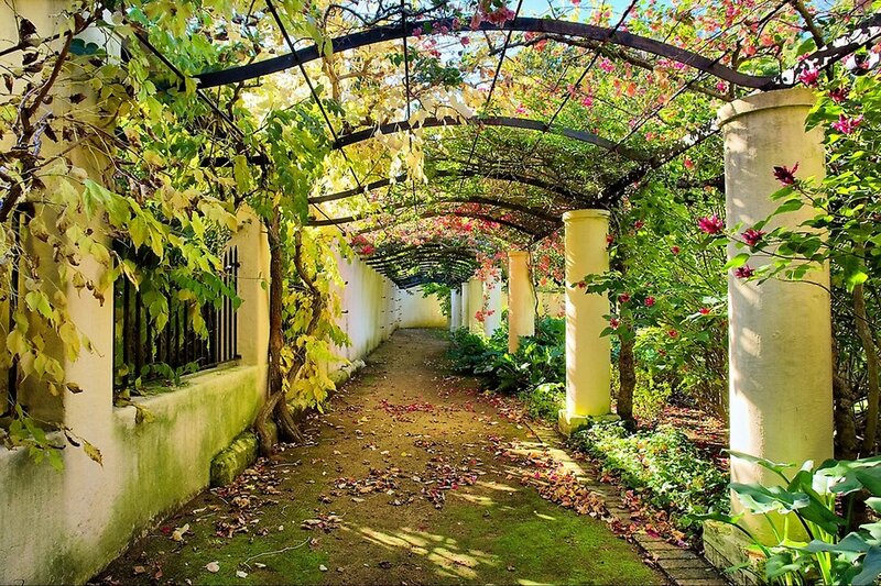 Garden Arbor Pathway