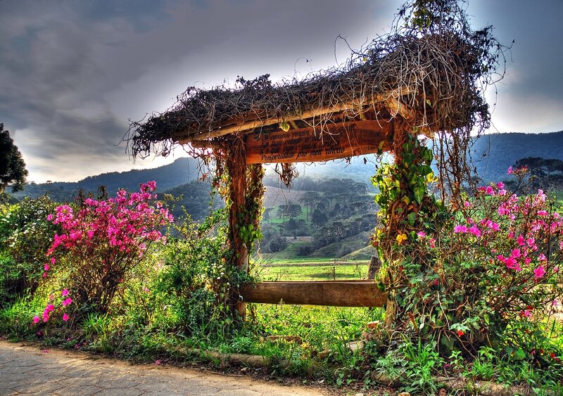 Garden arbor with flowers
