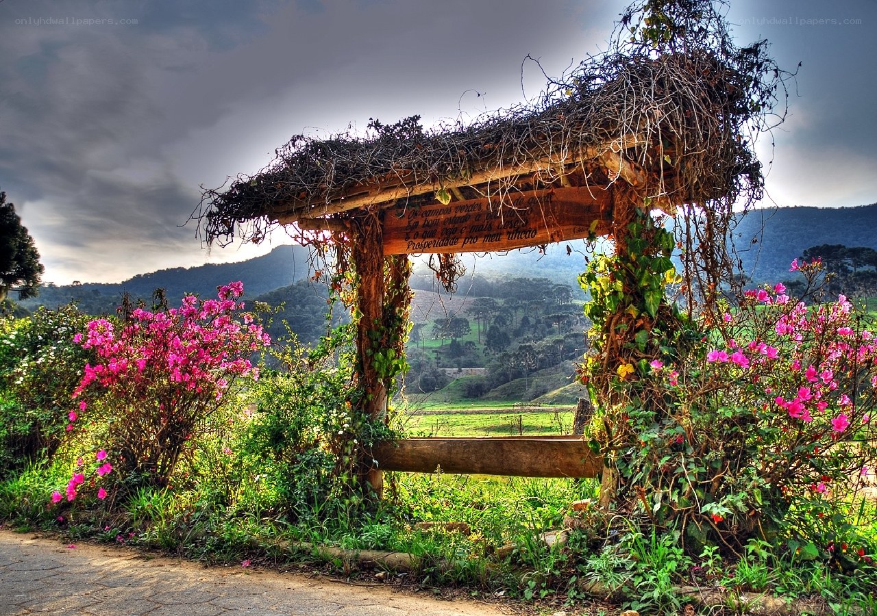 Garden arbor with flowers