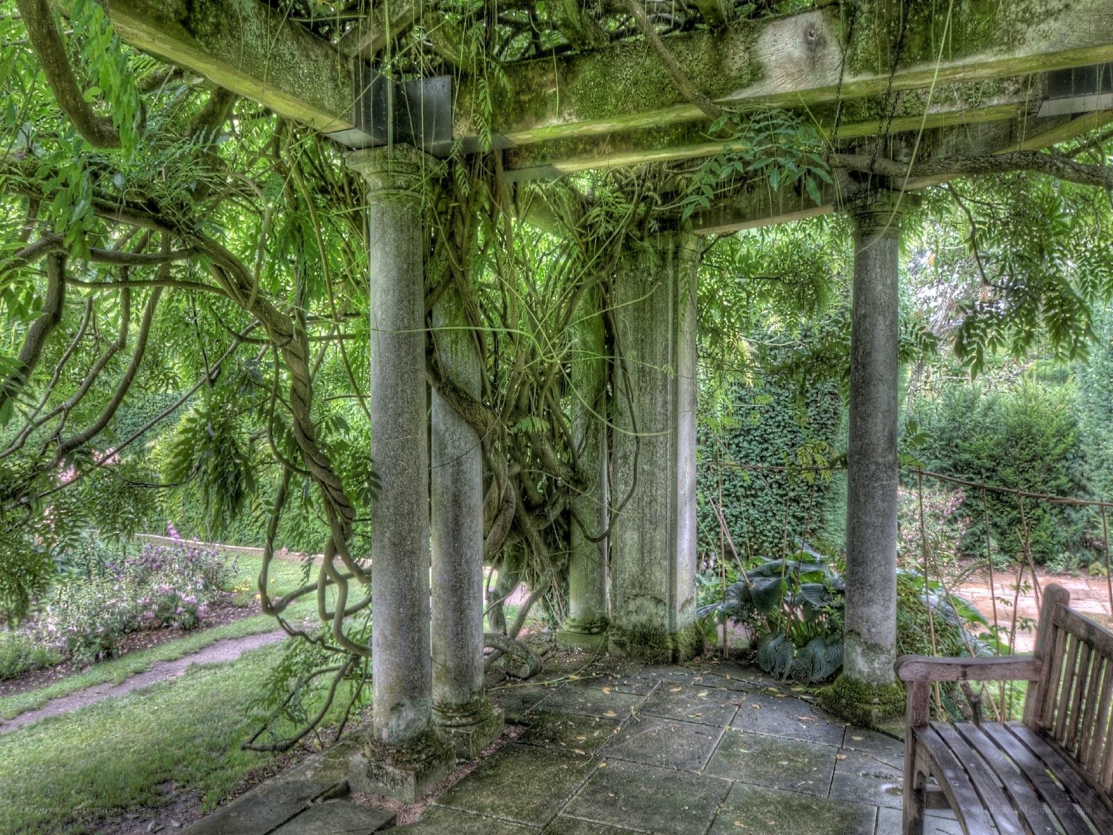 Garden arbor with vines