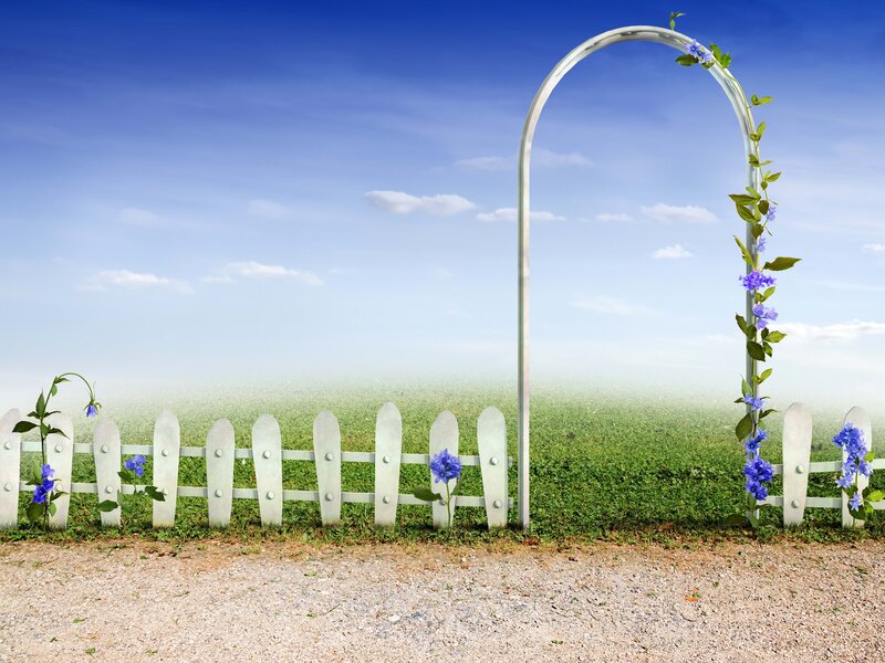 Garden arch with blue flowers