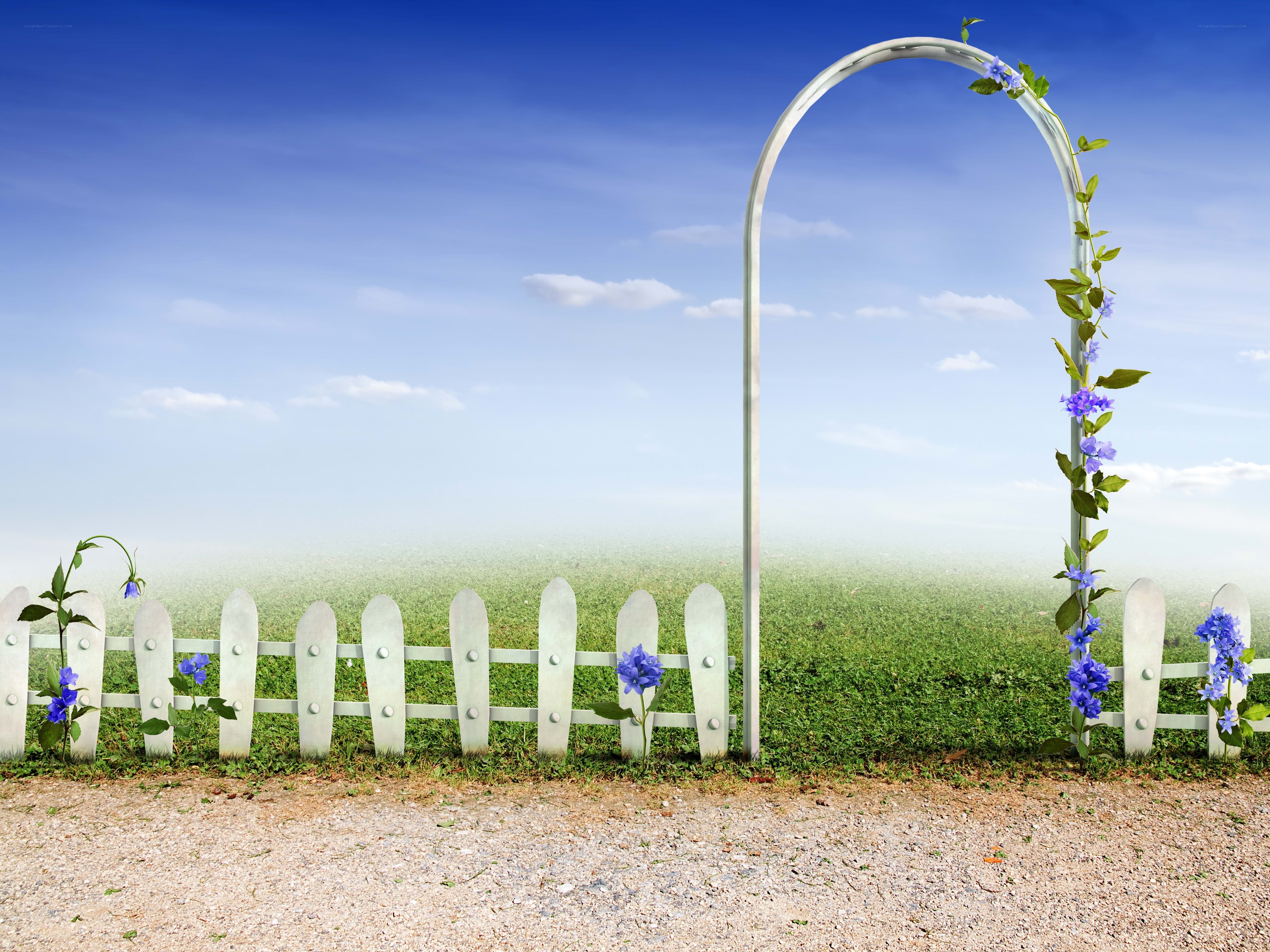 Garden arch with blue flowers