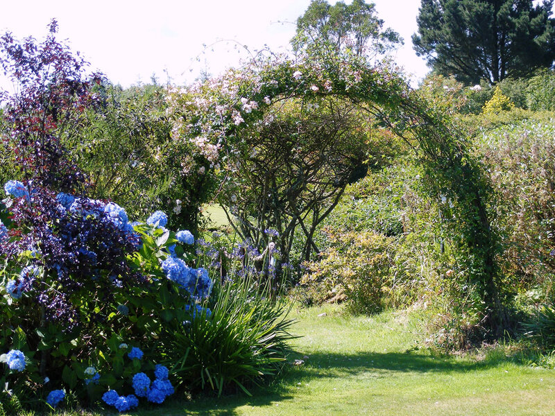 Garden Arch with Flowers — Blue