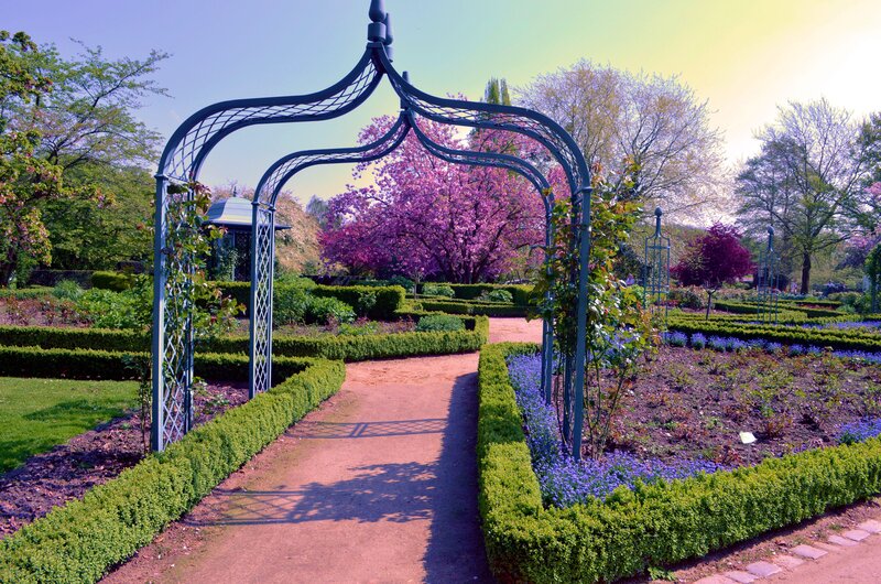 Garden Archway and Rose Beds