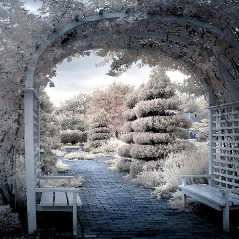 Garden Archway with Benches