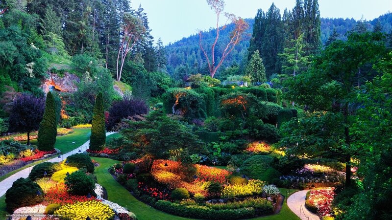 Garden at dusk with colorful flowers