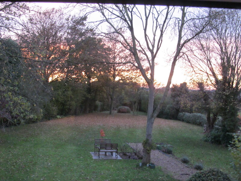 Garden at Sunset — Green