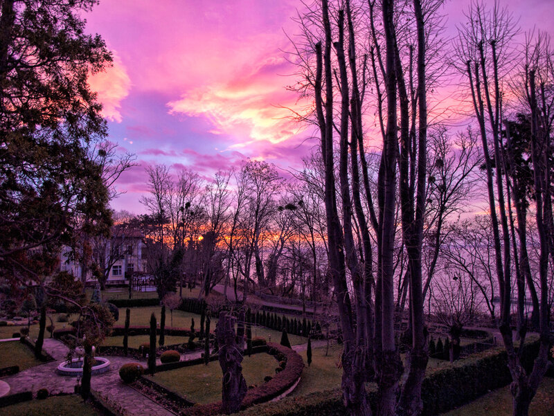 Garden at Sunset — Purple