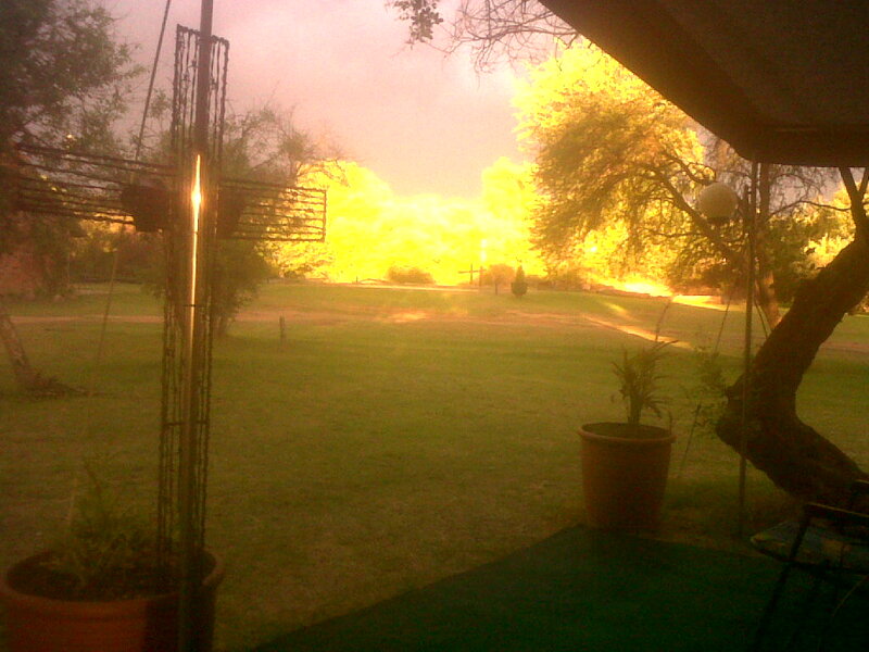 Garden at Sunset — Yellow