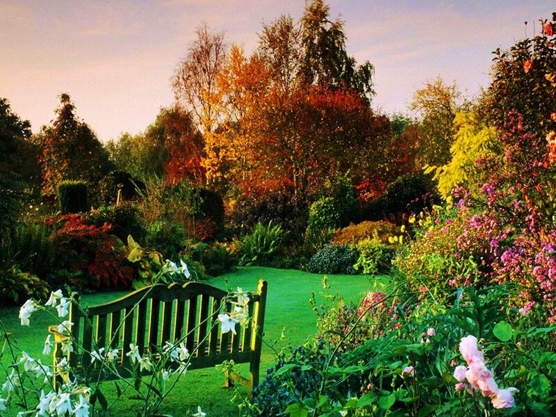 Garden Bench in Autumn — Green