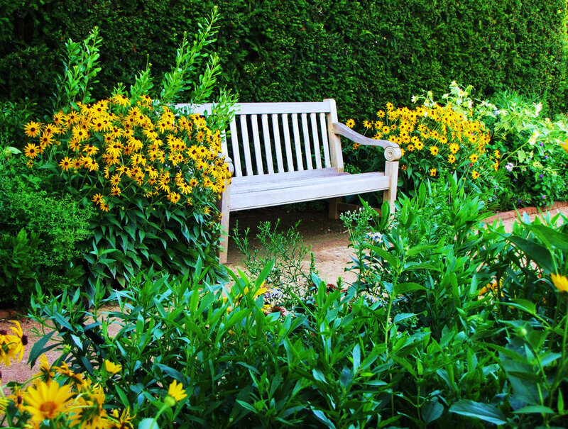 Garden bench surrounded by flowers