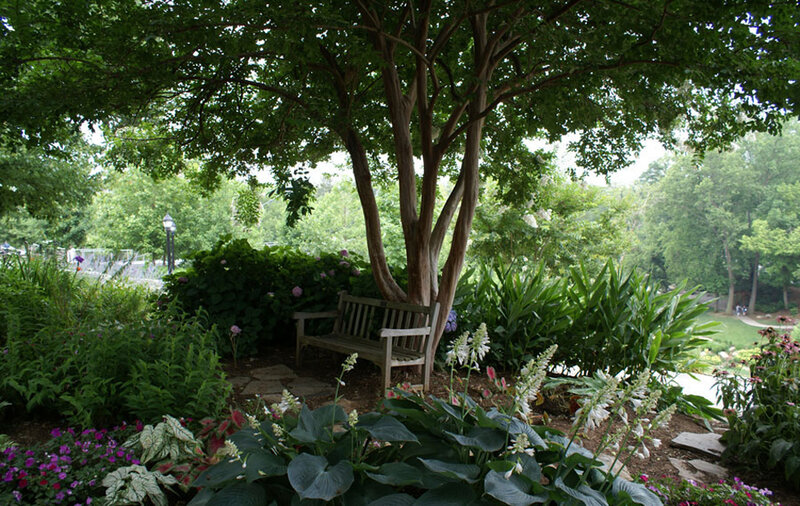 Garden bench under a tree