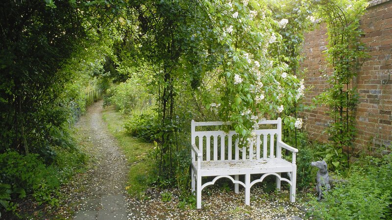 Garden bench under flowering arch