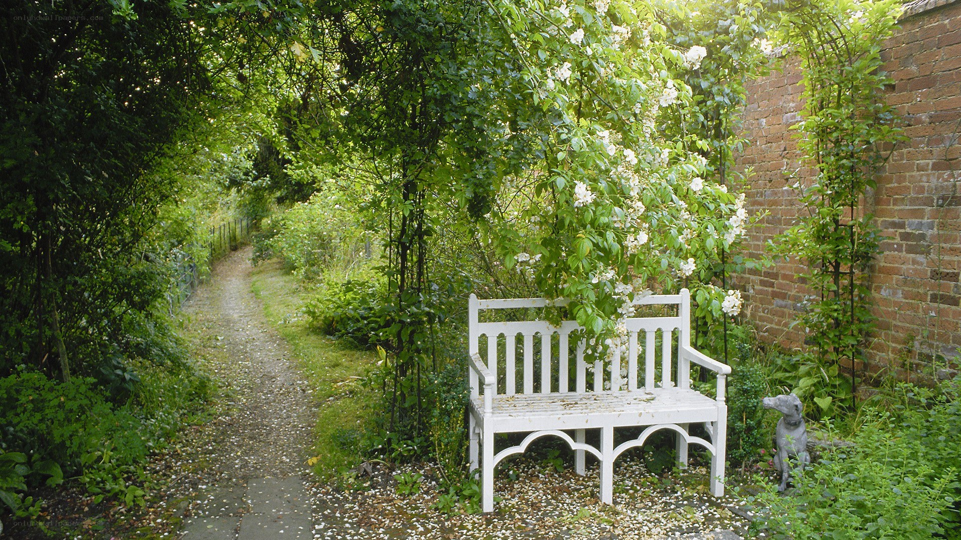Garden bench under flowering arch