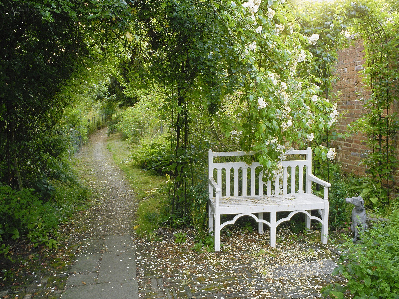 Garden bench under flowering arch