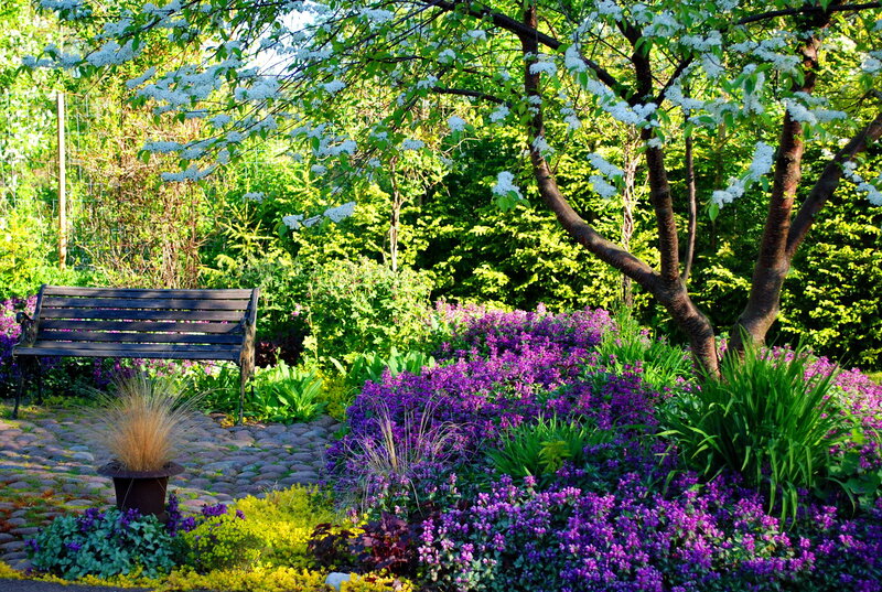 Garden Bench under Tree