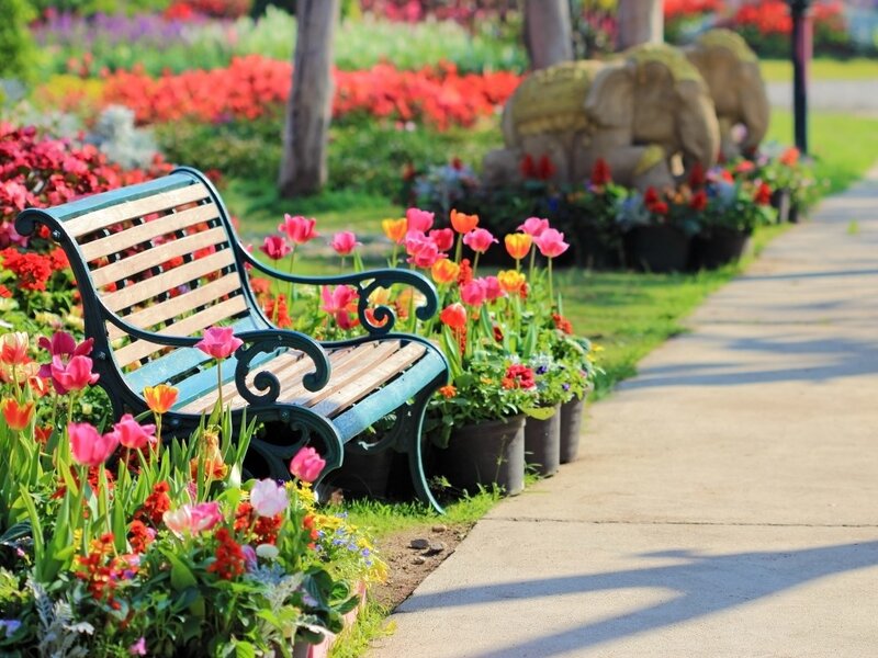 Garden Bench with Flowers — Green, Serene, Afternoon, Photograph