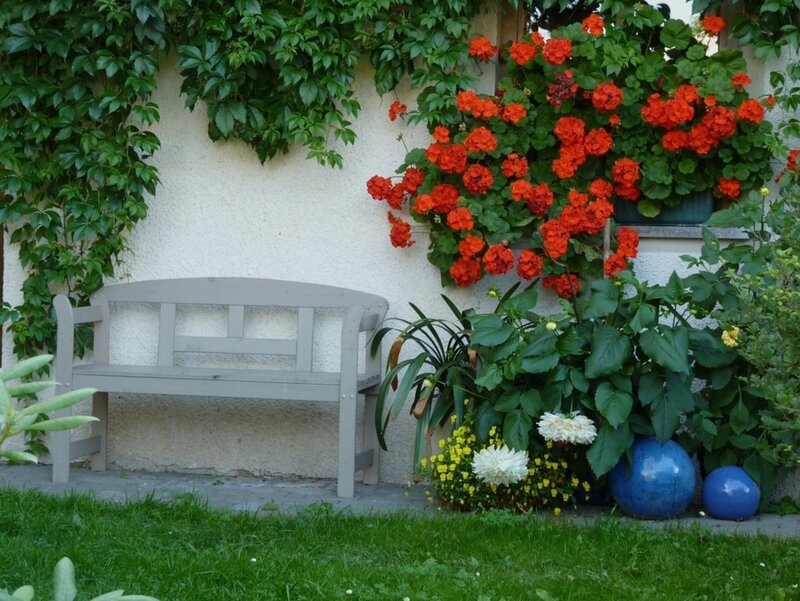 Garden Bench with Flowers — Green, Serene, Afternoon