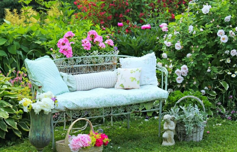 Garden Bench with Flowers — Green, Serene, Summer, Photograph