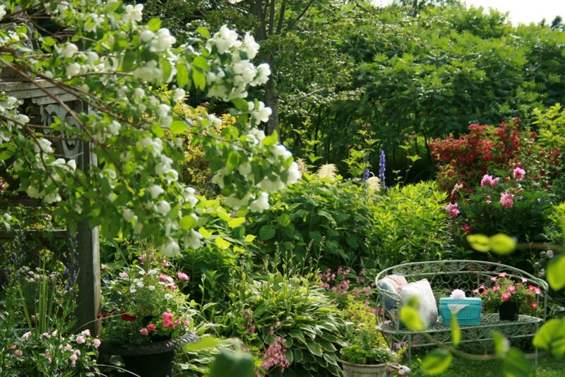 Garden Bench with Flowers — Green, Serene, Summer