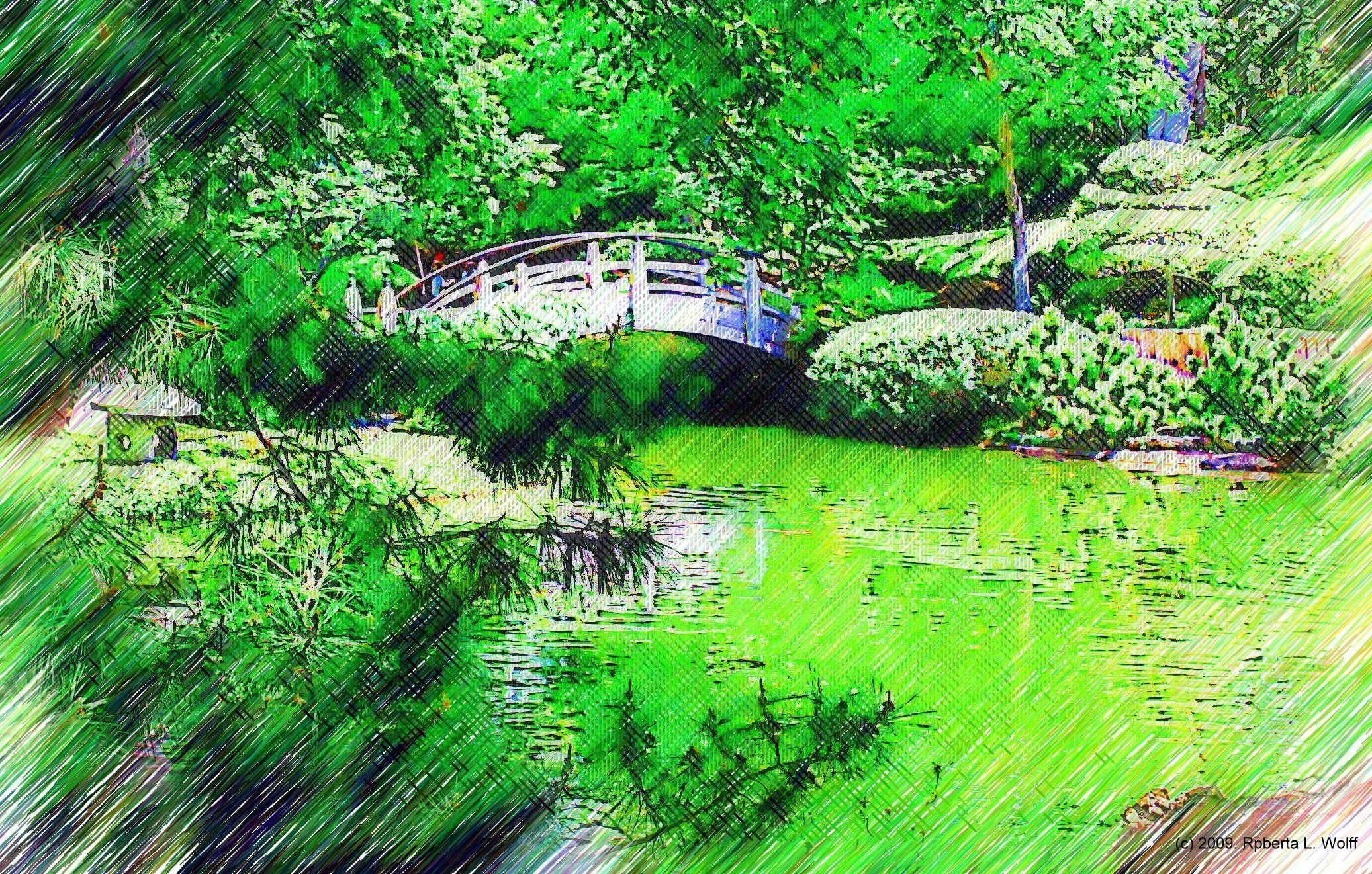 Garden bridge over pond