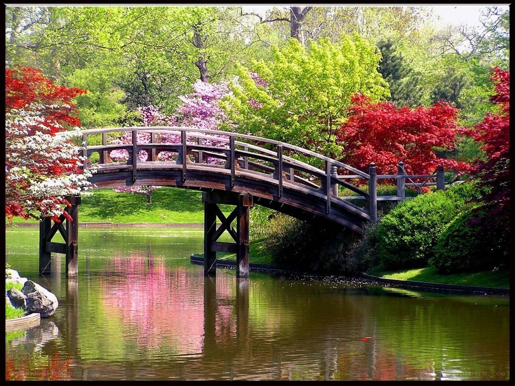 Garden bridge with colorful trees
