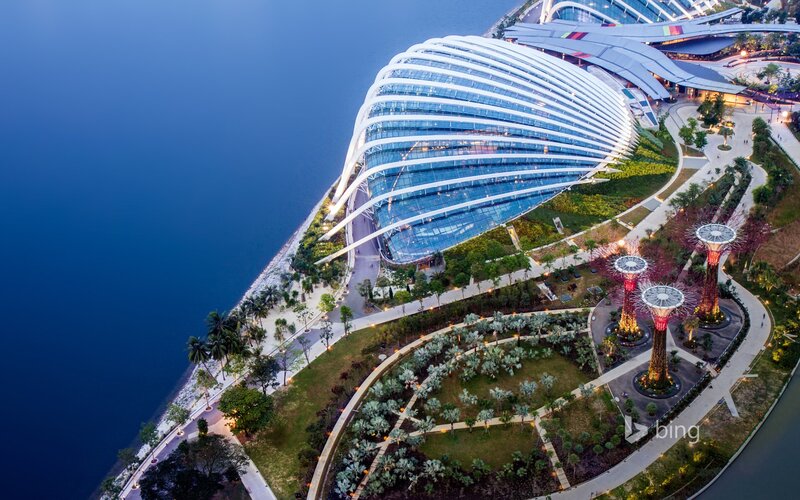Garden by the Bay — Blue, Serene, Night