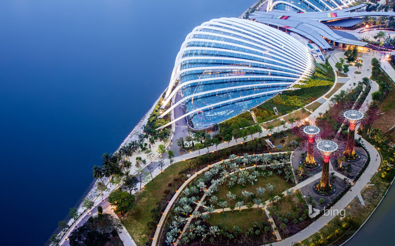 Garden by the Bay — Blue