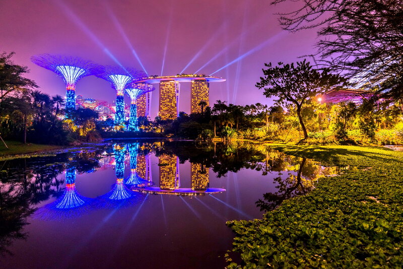 Garden by the Bay — Purple