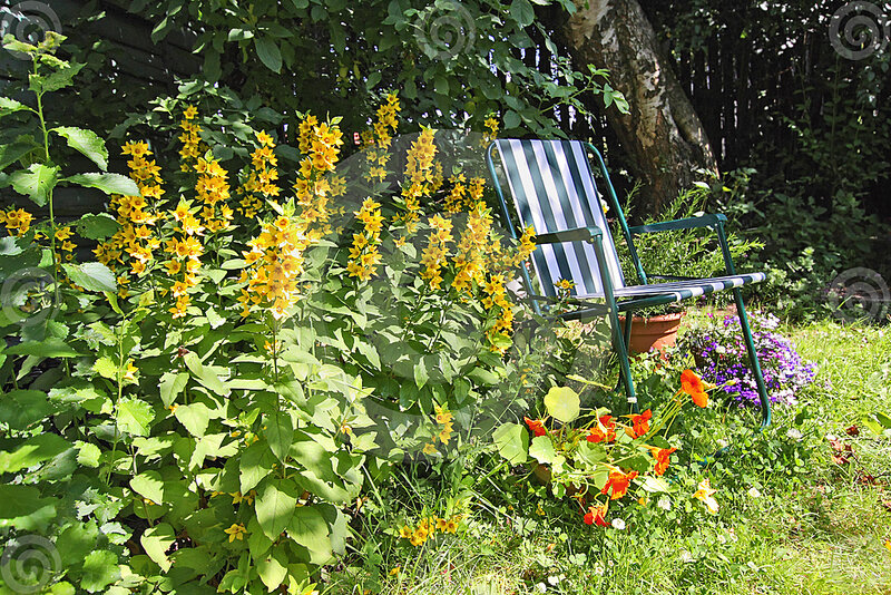 Garden Chair with Flowers — Green