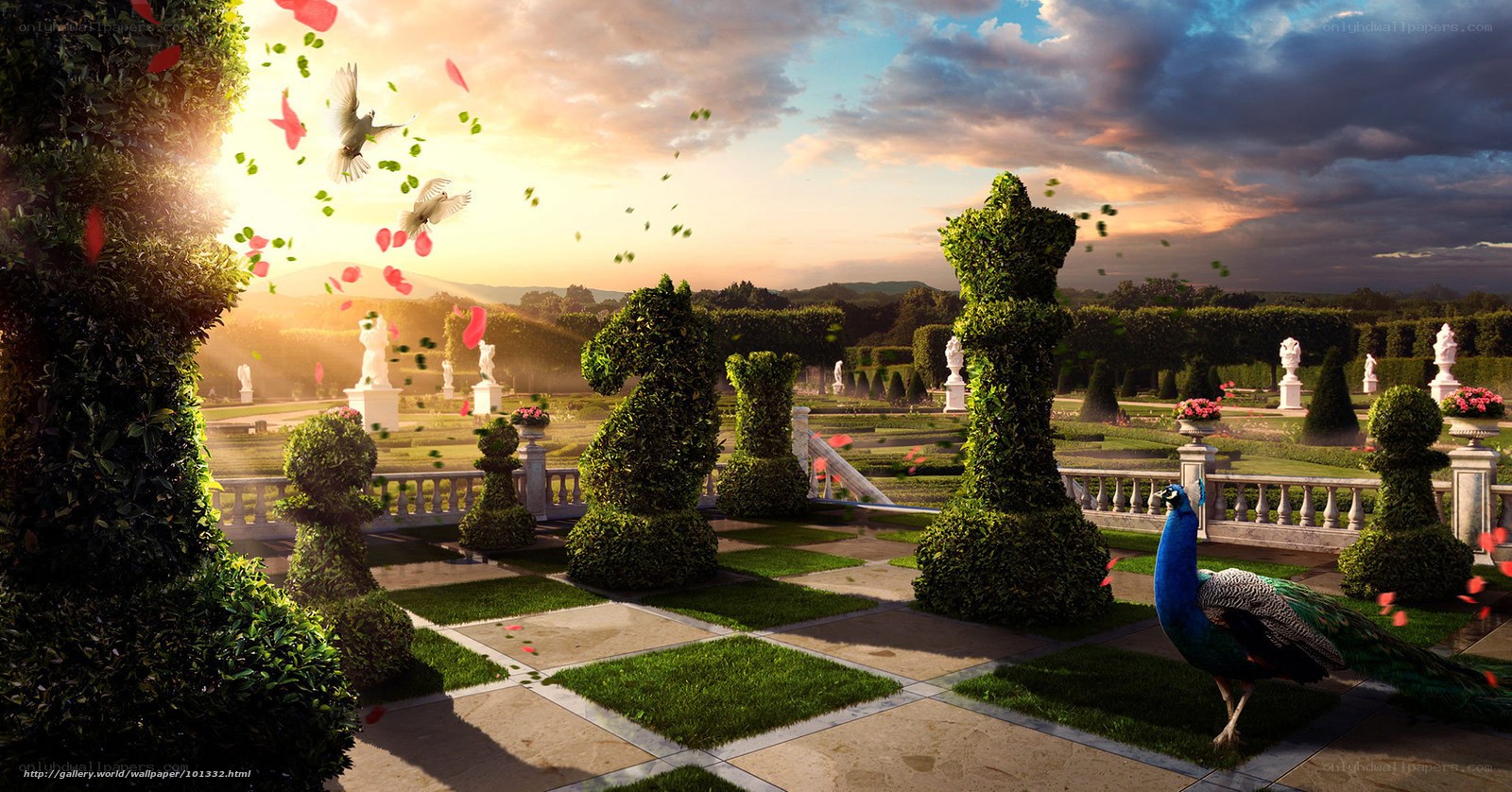 Garden chess with peacock