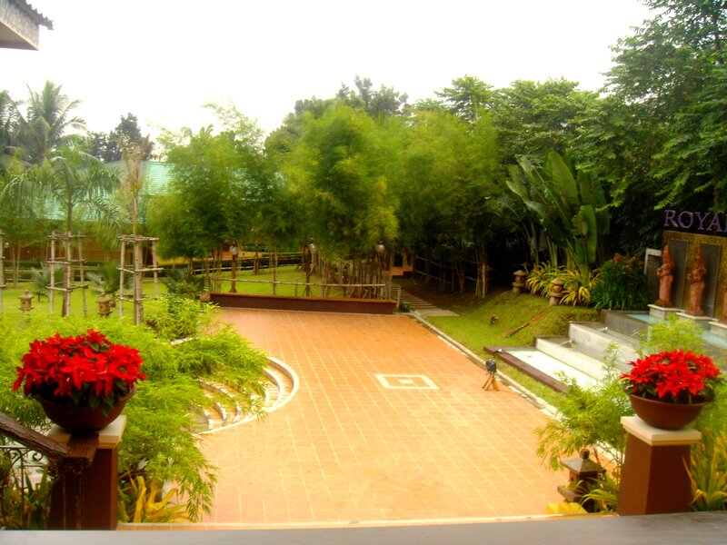 Garden Courtyard with Potted Plants