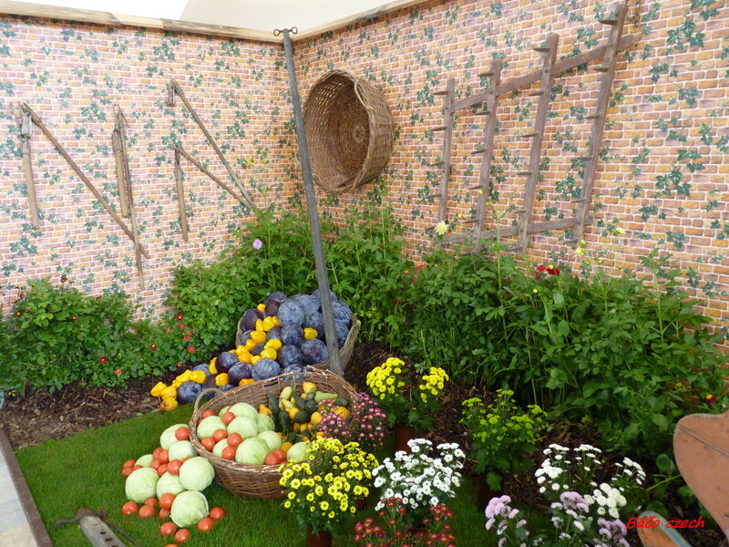 Garden Display with Produce