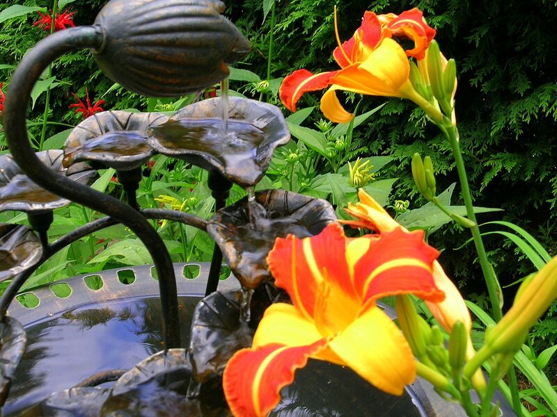 Garden fountain with daylilies