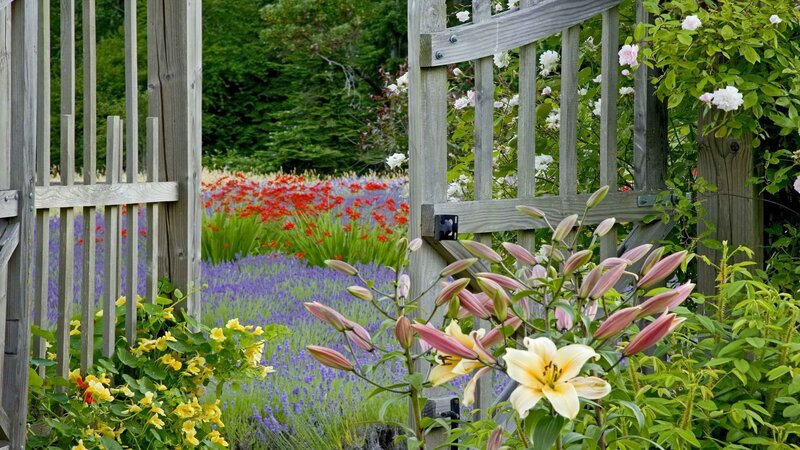 Garden gate with colorful flowers