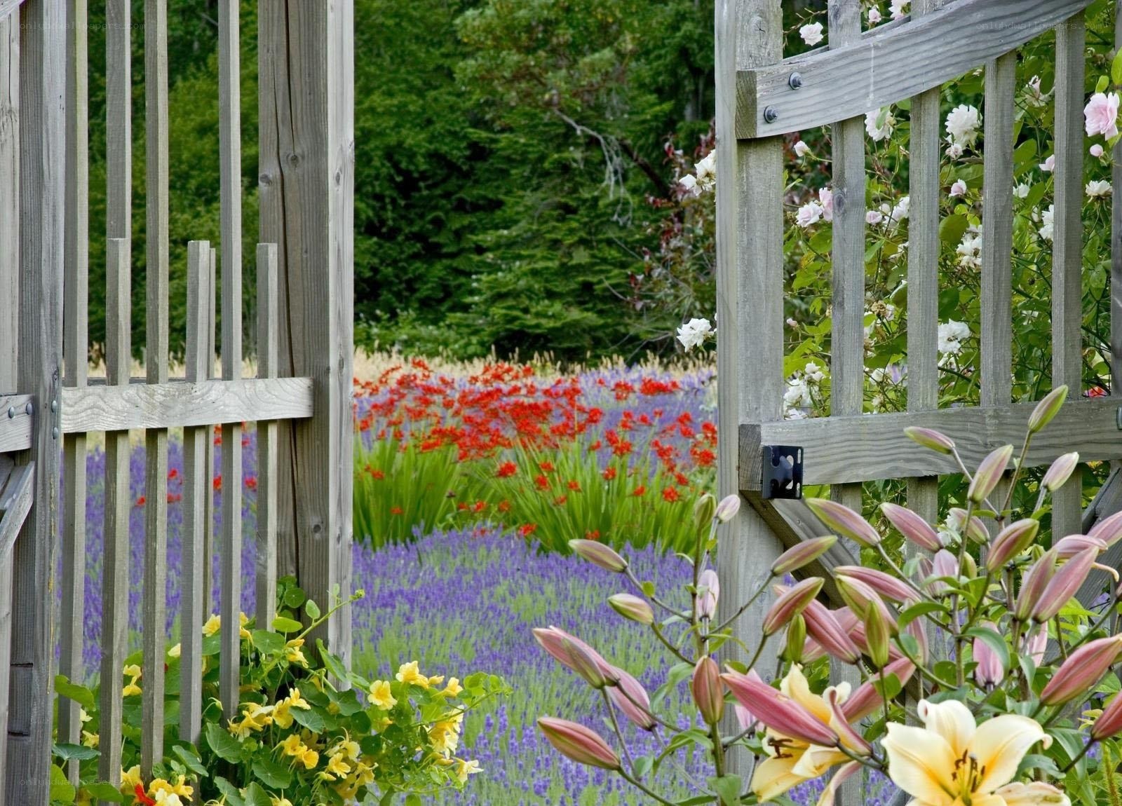 Garden gate with colorful flowers