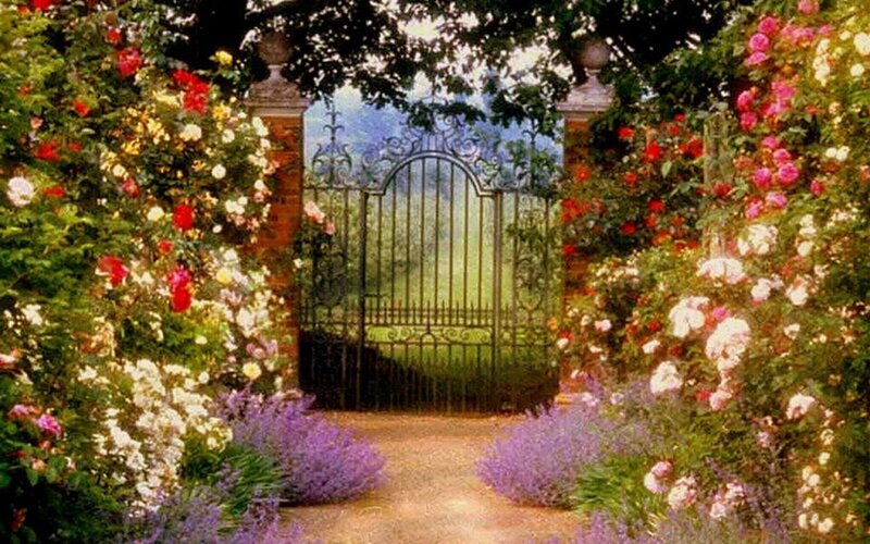 Garden Gate with Roses — Green, Serene