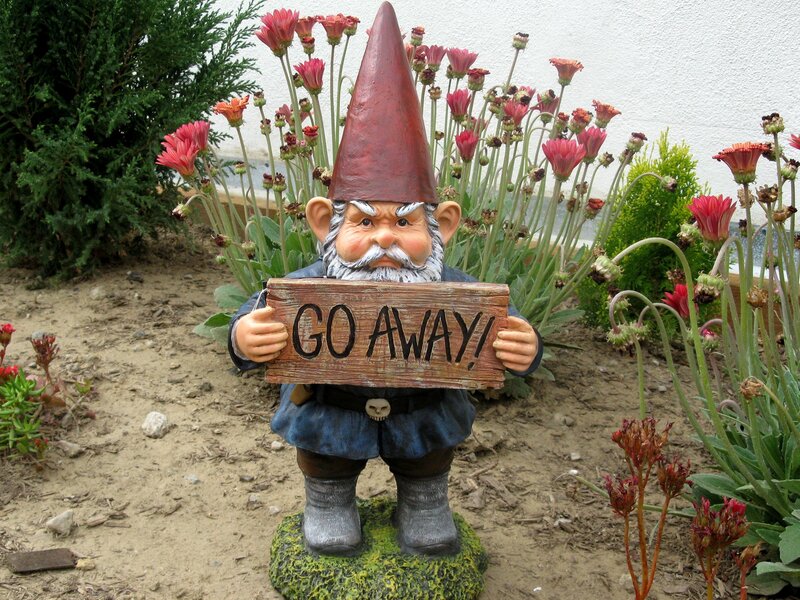 Garden Gnome Holding Sign