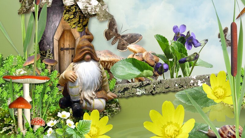 Garden Gnome in Forest