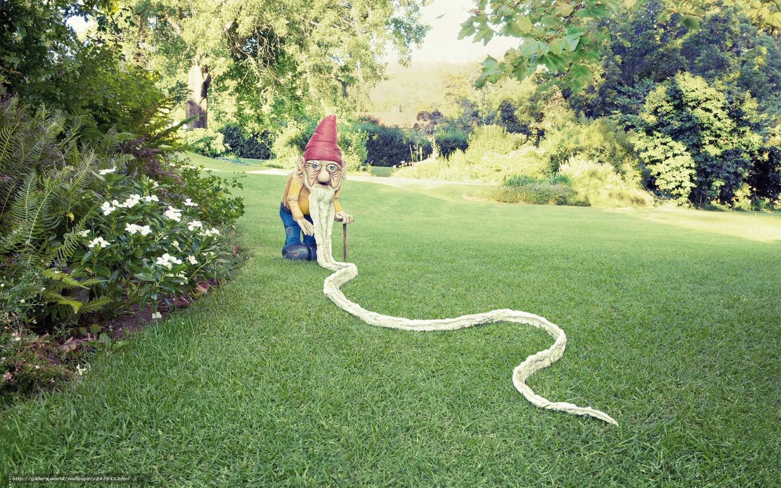 Garden gnome with long beard