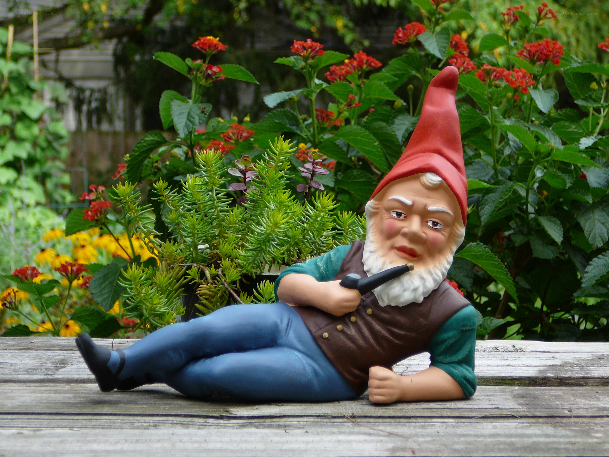 Garden gnome with pipe