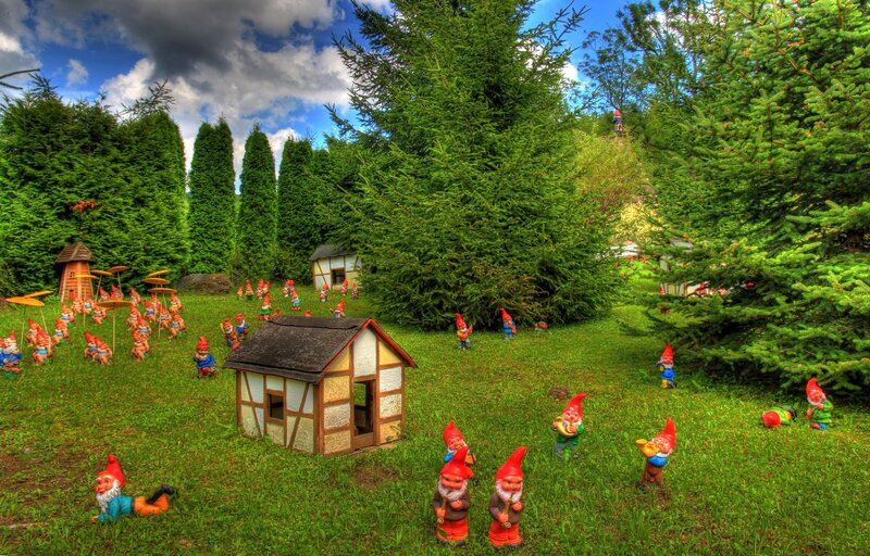 Garden gnomes in a forest